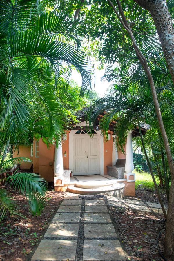 Wildflower Villas - All Villa Hotel, Family Run Candolim Exterior photo