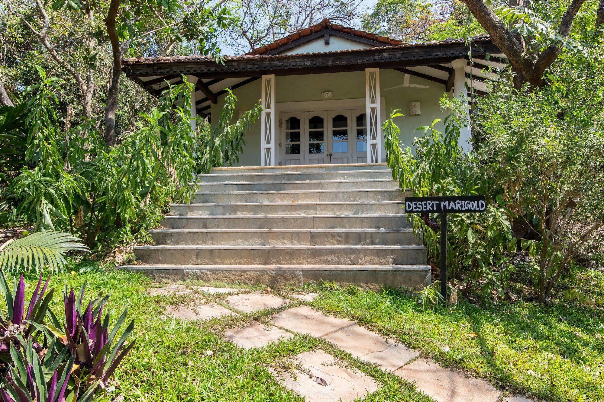 Wildflower Villas - All Villa Hotel, Family Run Candolim Exterior photo